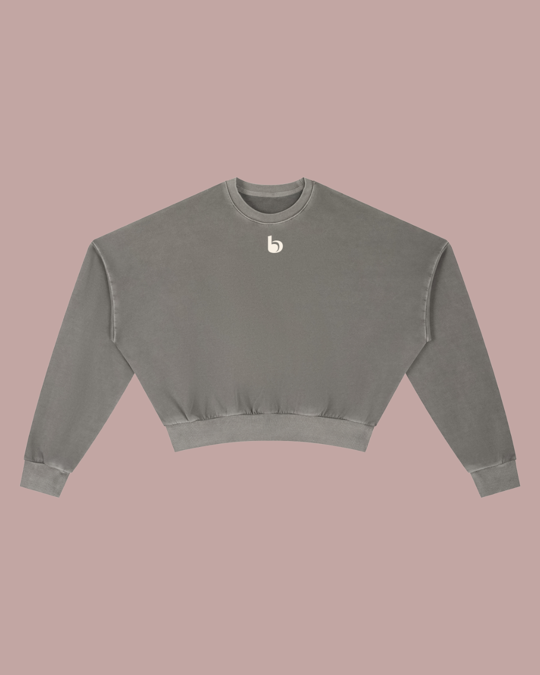 Vintage Washed Cropped Sweatshirt