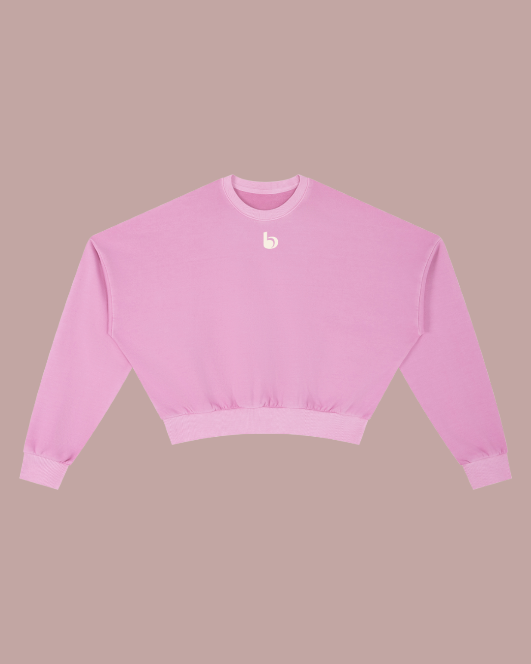 Vintage Washed Cropped Sweatshirt