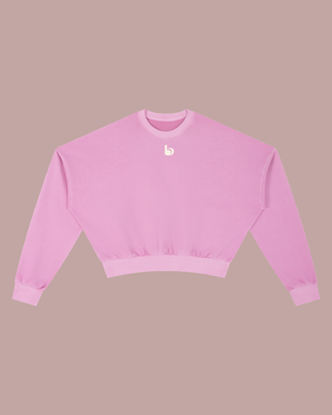 Vintage Washed Cropped Sweatshirt
